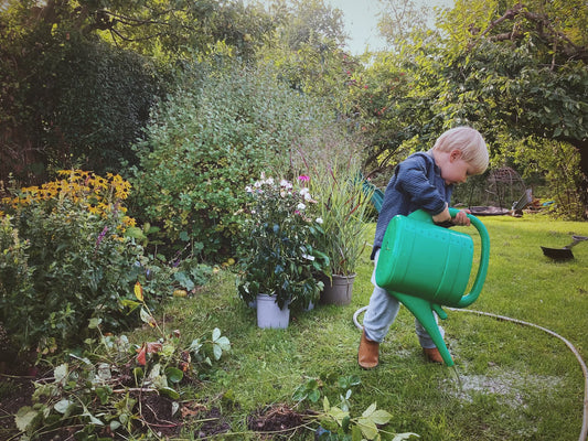 10 billige og bæredygtige efterårsferie-aktiviteter