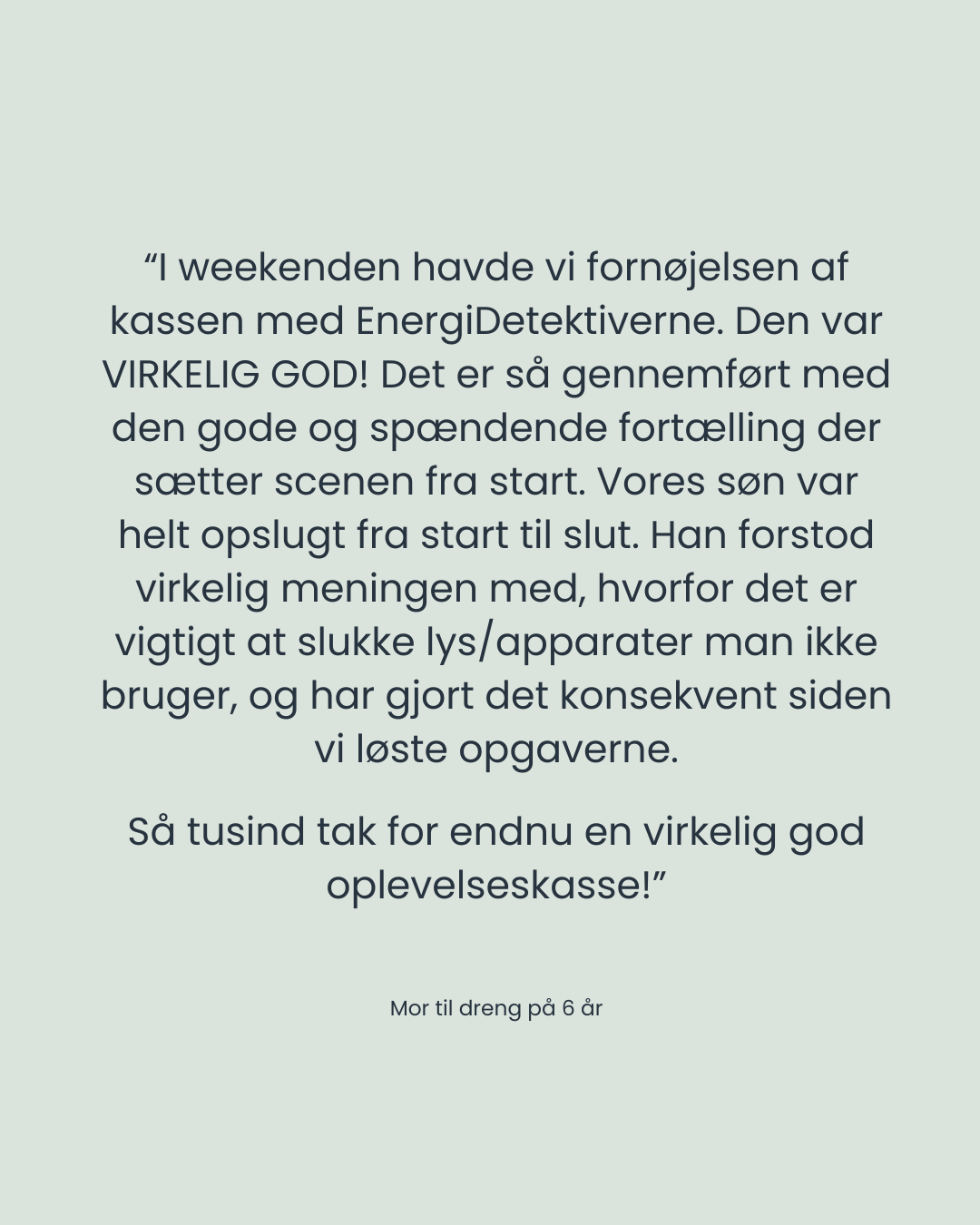 EnergiDetektiverne